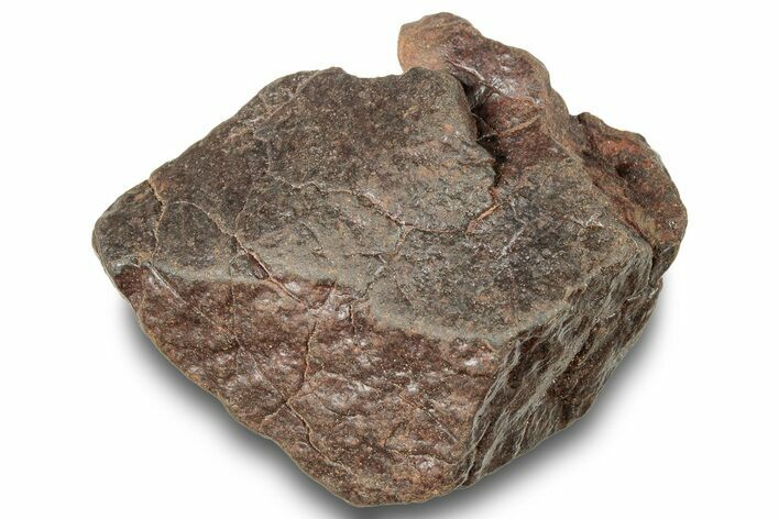 Chondrite Meteorite ( g) - Western Sahara Desert #247498